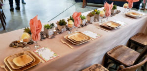 Living Coral with Succulents Wedding Decor Theme